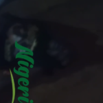 Screenshot 2026-04-20 090704