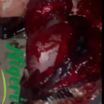 Screenshot 2026-04-20 101830