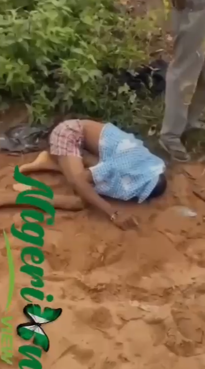 Situation report